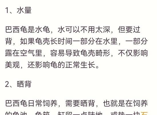 巴西龟换水时应该注意哪些事项？