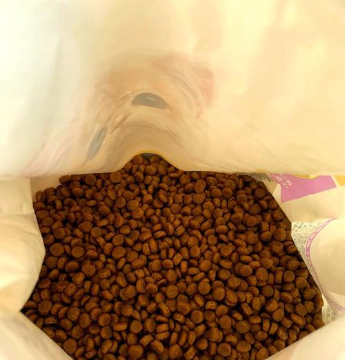 猫猫换环境是否需要换猫粮？换环境对猫粮选择有何影响？
