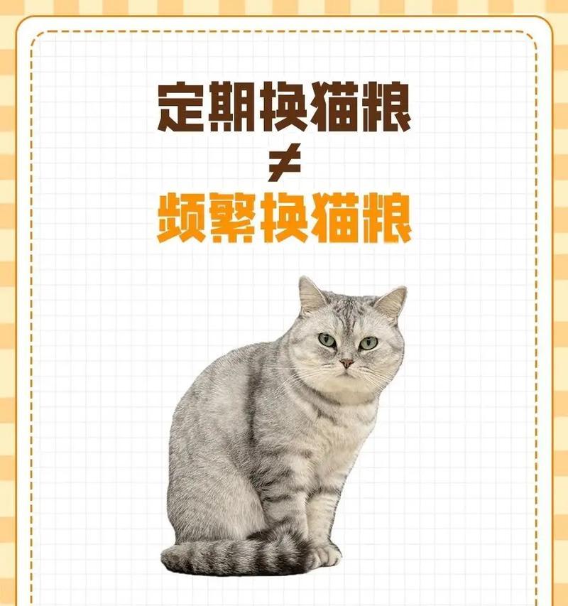 猫猫换环境是否需要换猫粮？换环境对猫粮选择有何影响？