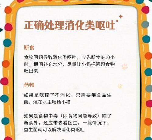 猫咪吐未消化猫粮和猫草怎么办？如何预防这种情况发生？