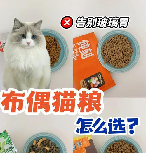 猫粮一定要吃贵的吗？贵的猫粮有什么好处？