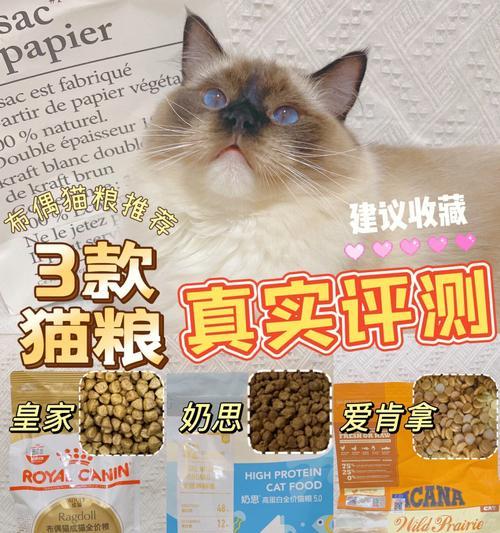 如何说服家人购买布偶猫专用猫粮？