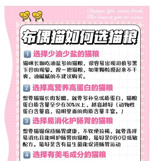 如何说服家人购买布偶猫专用猫粮？