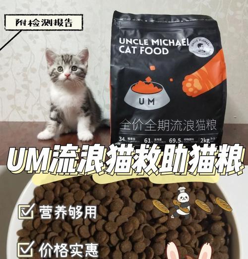 流浪猫不吃提供的猫粮？原因何在？