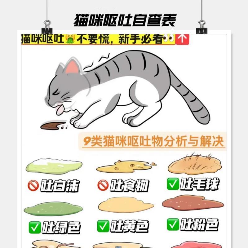 猫咪冬天吐猫粮怎么办？