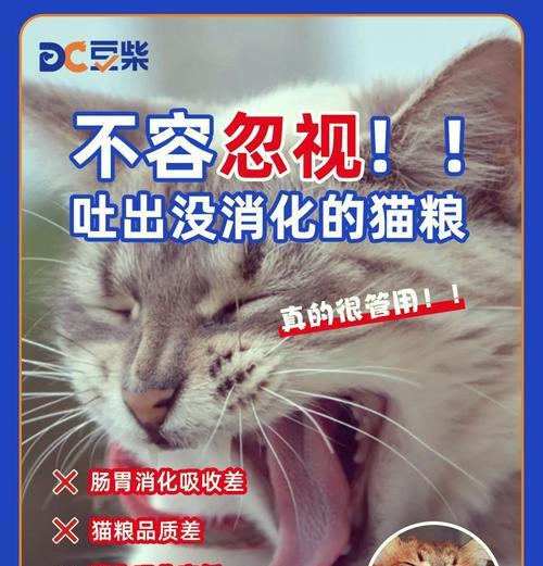 猫咪冬天吐猫粮怎么办？