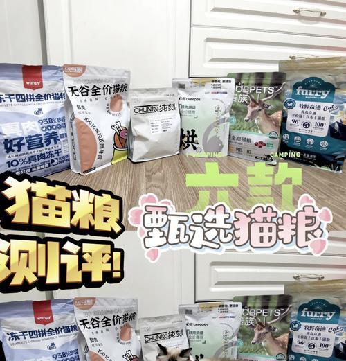 孟加拉猫适合哪种猫粮？