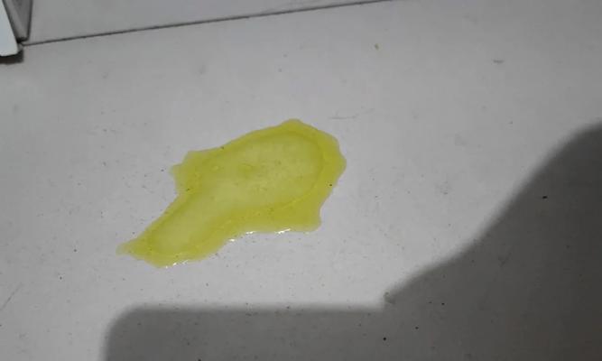 猫咪吐出黄色黏液和猫粮是怎么回事？如何处理？