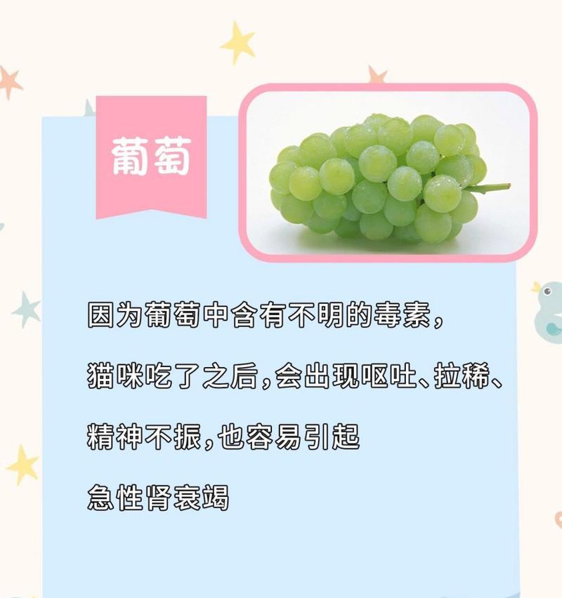 喂猫粮时可以拌哪些水果？有哪些注意事项？