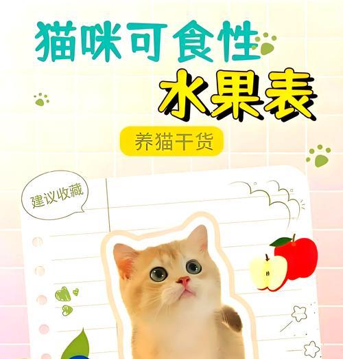 喂猫粮时可以拌哪些水果？有哪些注意事项？