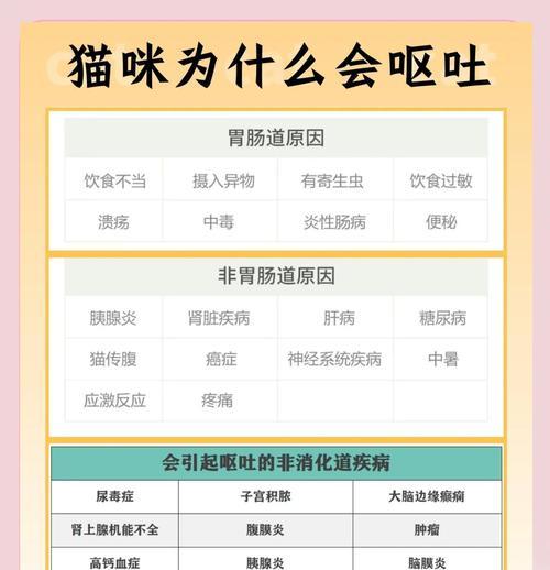 猫咪吃流食吐了怎么办？可能的原因是什么？