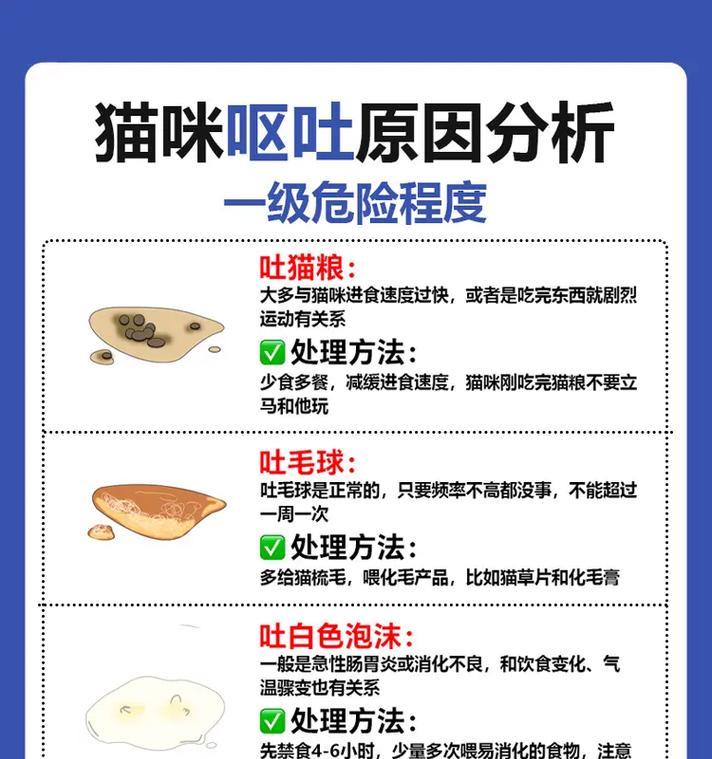 猫咪吃流食吐了怎么办？可能的原因是什么？