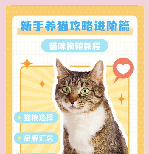 新猫为啥不吃猫粮了呢怎么办？如何让新猫适应猫粮？