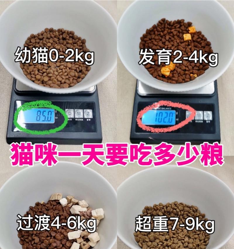 新生小猫的母猫需要什么营养？哪种猫粮最合适？