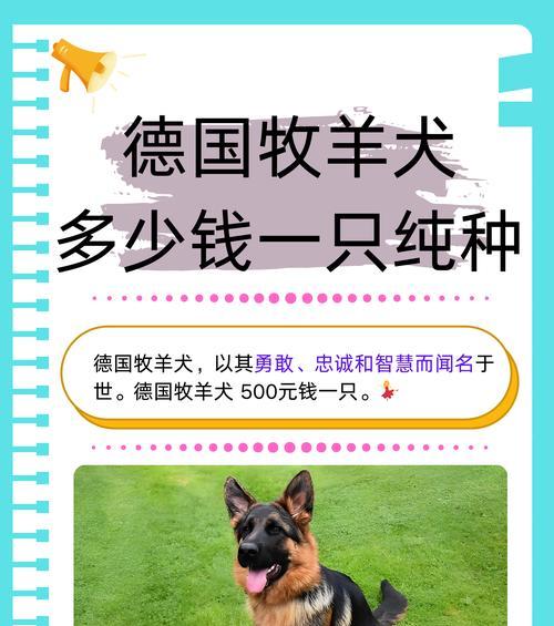 德牧的价格是多少元？