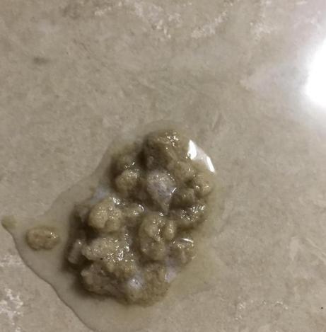 突然换粮猫吐了怎么办？狗狗偷吃狗粮吐了有事吗？