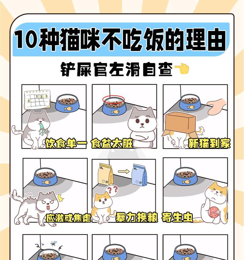 猫不给吃嗷嗷叫的猫粮怎么回事？这是猫咪的什么行为表现？