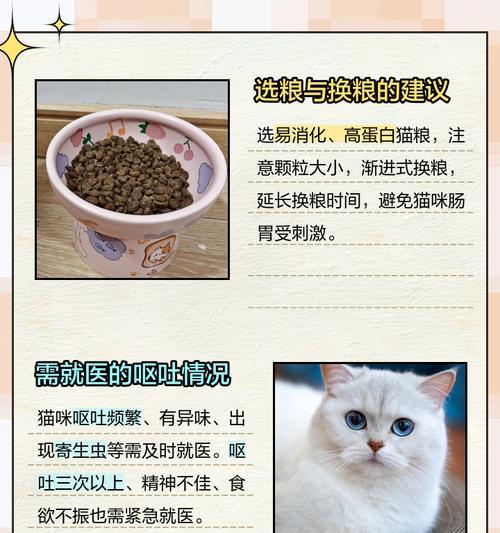 猫不给吃嗷嗷叫的猫粮怎么回事？这是猫咪的什么行为表现？