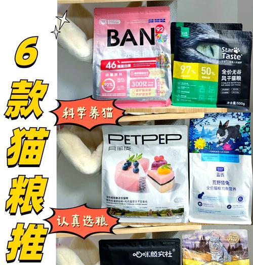 夜野猫适合哪种猫粮？如何选择最佳猫粮？