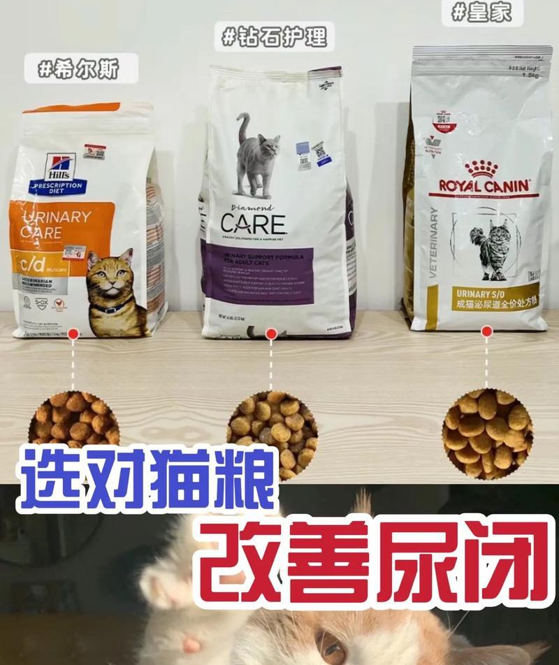皮蛋猫粮过硬该如何处理？有无改善方法？