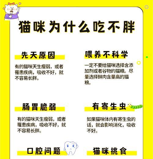 猫吃了猫粮后不吃东西怎么办？有什么解决方法吗？