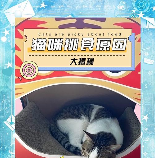 为什么把猫粮挑出来吃会拉肚子？猫粮挑食的后果是什么？