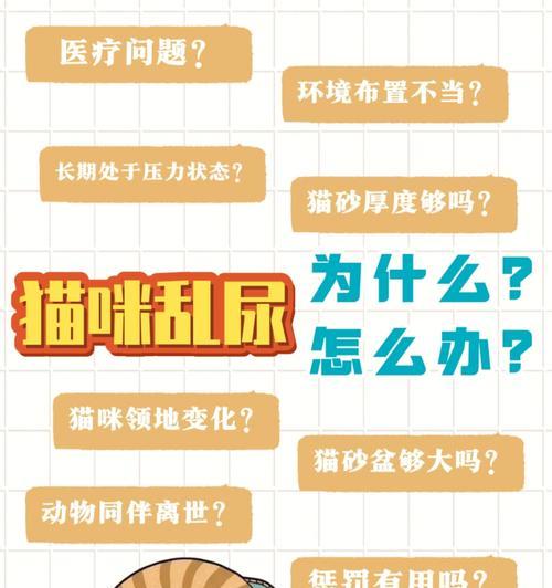 猫粮导致猫咪乱尿的解决方法是什么？