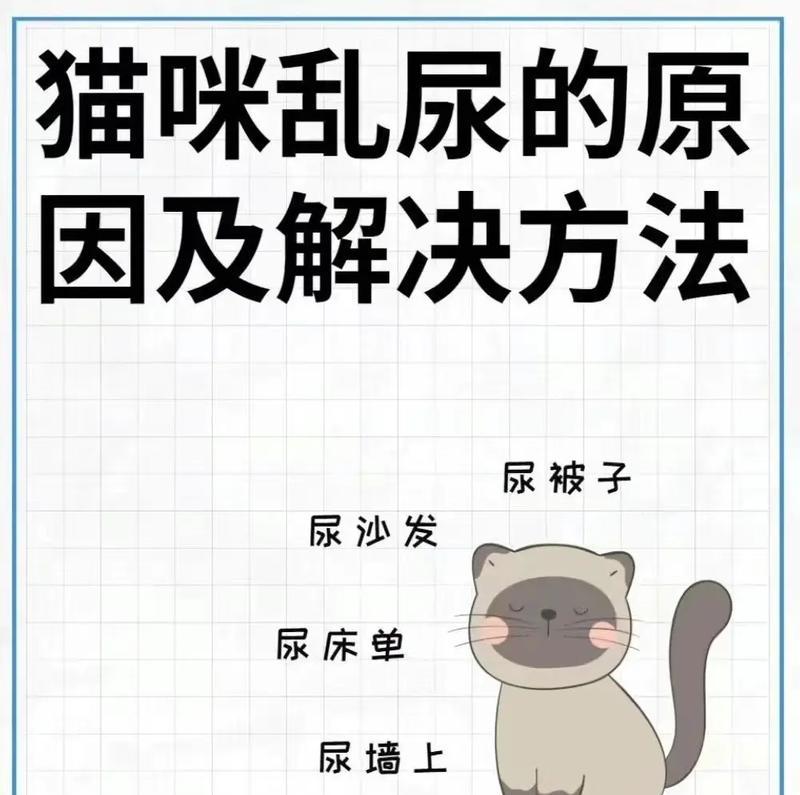 猫粮导致猫咪乱尿的解决方法是什么？