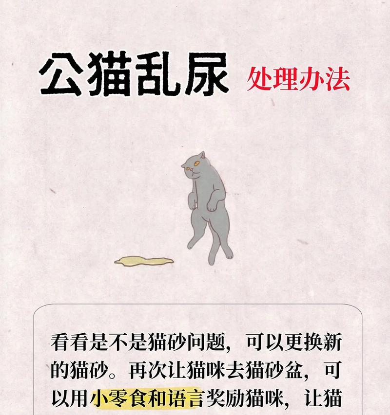 猫粮导致猫咪乱尿的解决方法是什么？