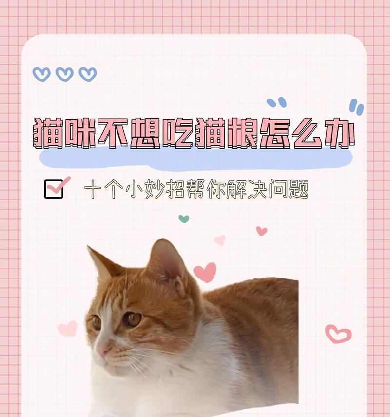 如何帮助猫咪戒掉猫条拌猫粮的习惯？