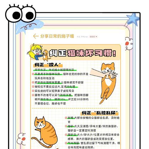 如何帮助猫咪戒掉猫条拌猫粮的习惯？