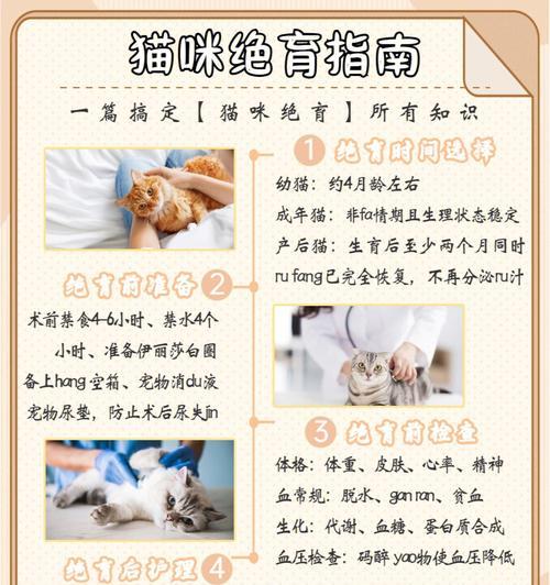 绝育后猫咪多久可以恢复正常饮食？