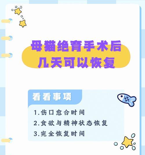 绝育后猫咪多久可以恢复正常饮食？