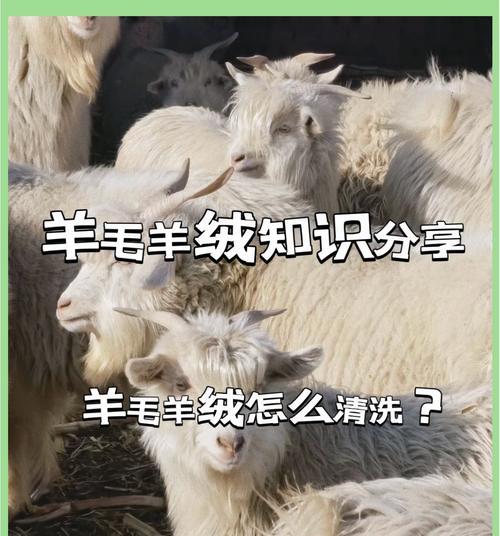 毛衣上的羊驼图案如何清洗去除？