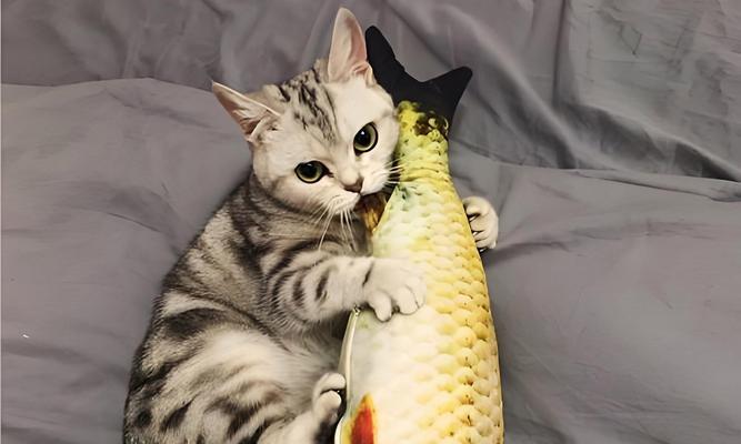 给猫喂食鱼粮可能会带来哪些后果？