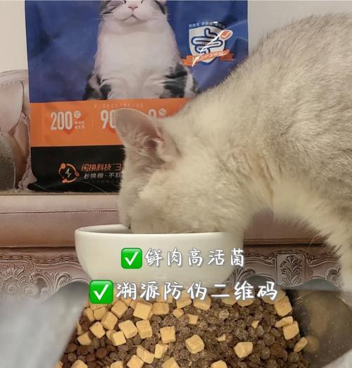 猫咪牙疼时应如何选择合适的猫粮或罐头？