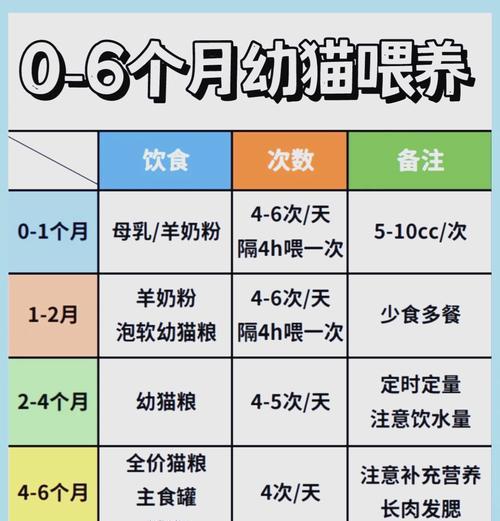 如何正确喂养幼猫以呵护其成长？