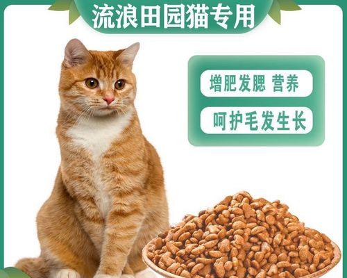 橘花猫适合哪种猫粮？