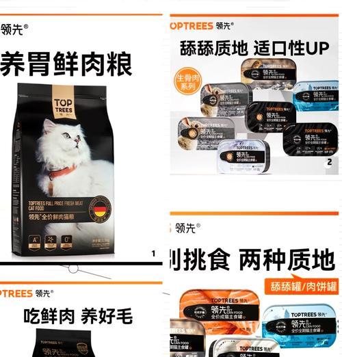 伊利猫粮产品名称：哪款听起来更吸引人？