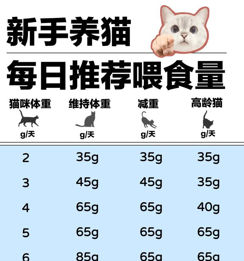 如何正确喂食妈妈选择的猫粮？
