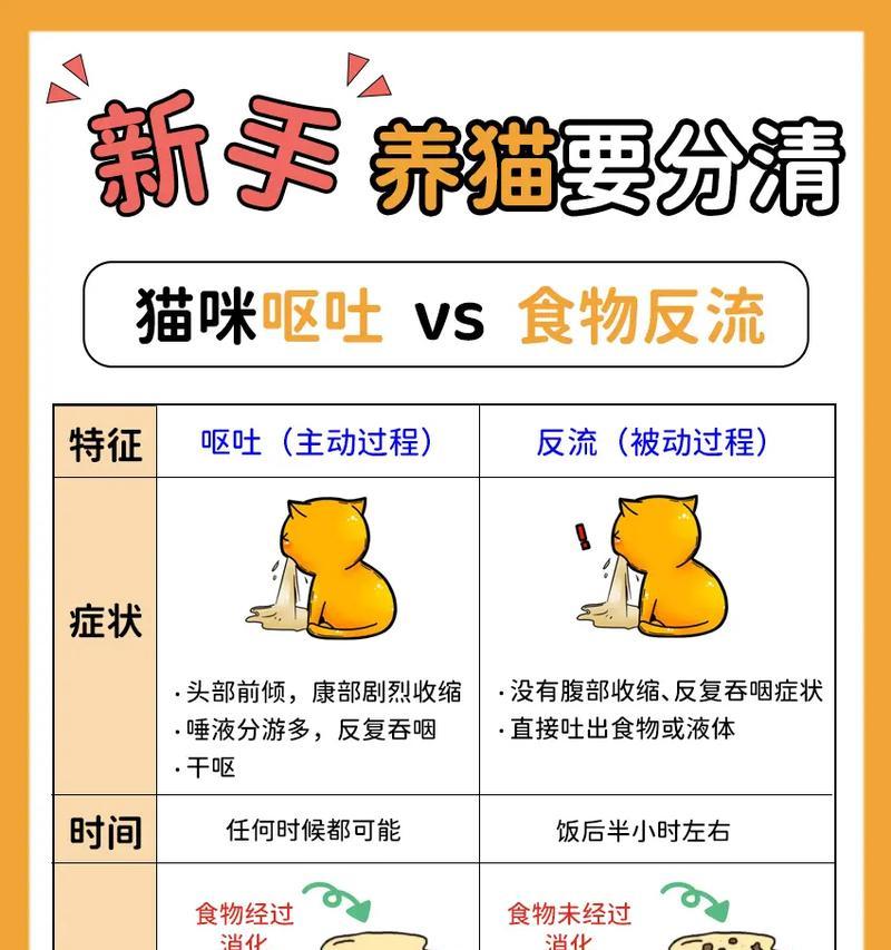 猫咪冬天怀孕吐猫粮怎么办