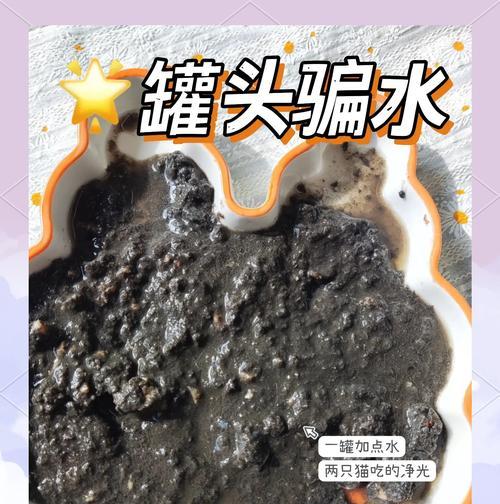 小猫罐头和猫粮的正确喂食方法是什么？