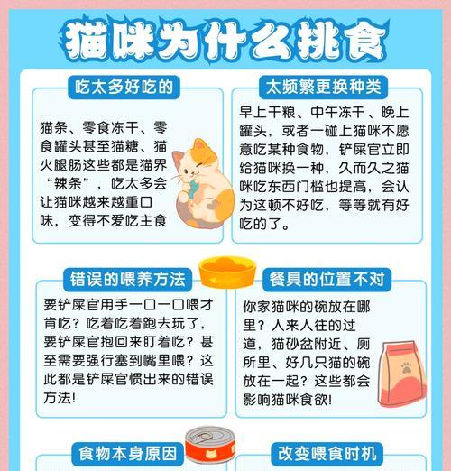猫咪狂吃猫粮怎么办？