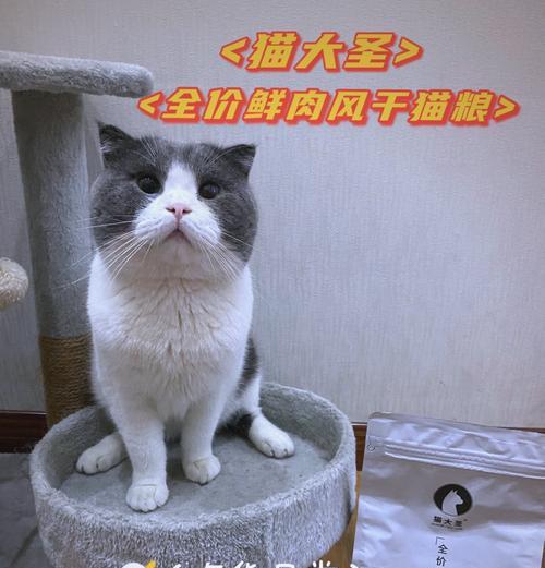 猫大圣猫粮为何鲜为人知？猫大圣猫粮的市场表现如何？