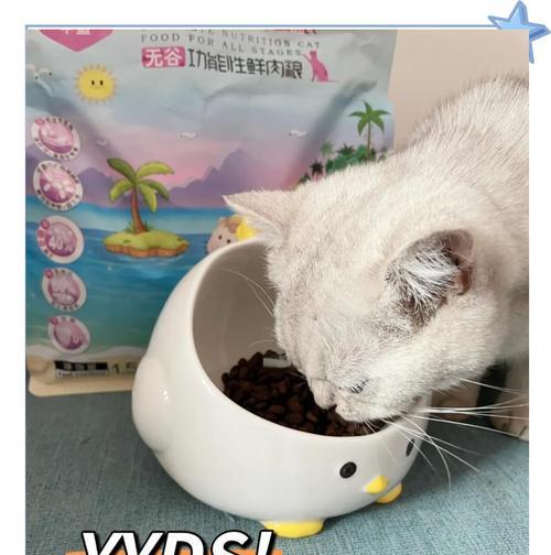 面对不进食的猫粮，有哪些拯救方法？