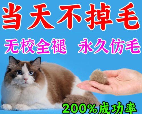 猫咪掉毛严重时应服用什么药物？