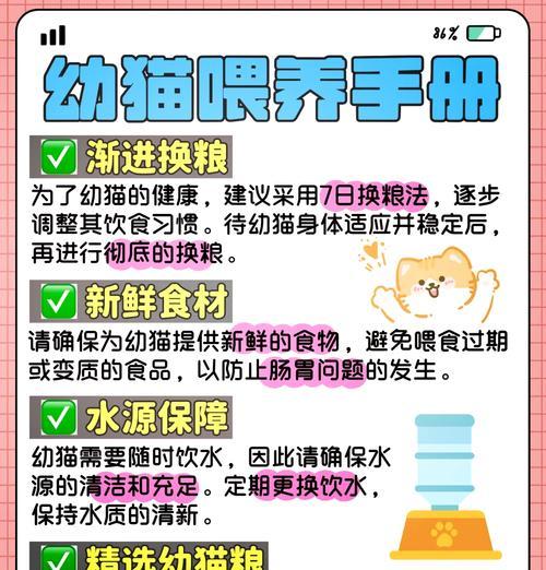 大袋猫粮漏了怎么办？如何防止猫粮受潮？
