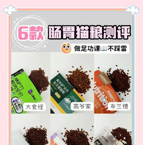 如何使用料理机制作猫粮？