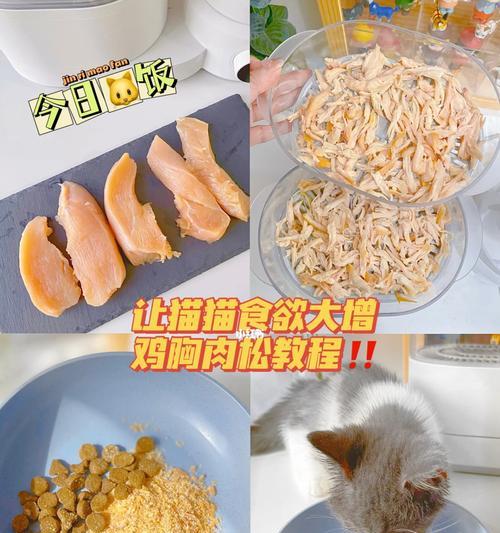 如何使用料理机制作猫粮？