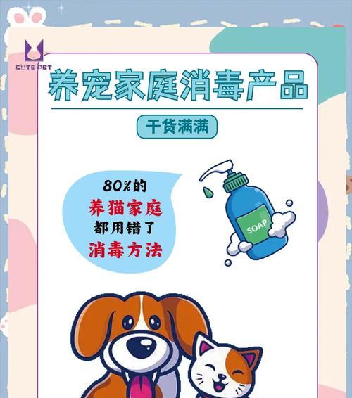 绝育猫粮如何消毒？处理时需要注意什么？